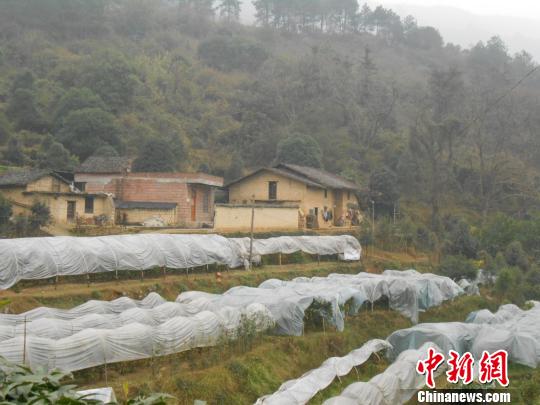 宁静美丽的小山村—和兴榨村孕育了“最美女孩”何玥。　诸葛保满　摄